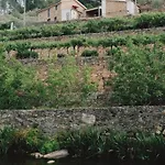 Villa Quinta De Reciao *
