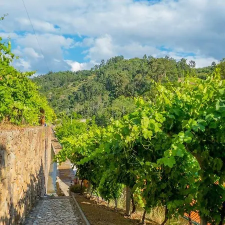 Quinta De Reciao * Ламегу