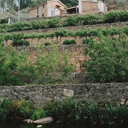 Hébergement de vacances Quinta De Reciao