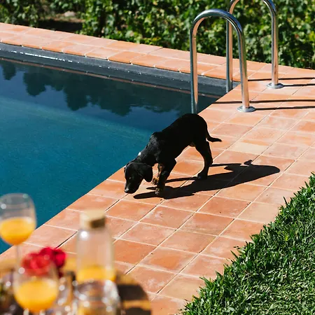 Quinta De Reciao Ламегу