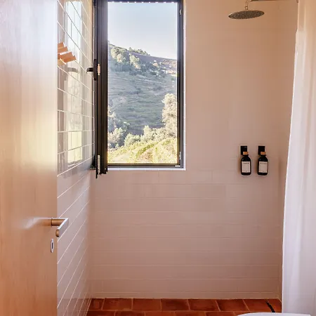 Quinta De Reciao Lamego