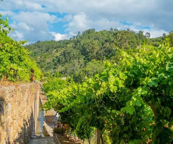 Quinta De Reciao * Lamego