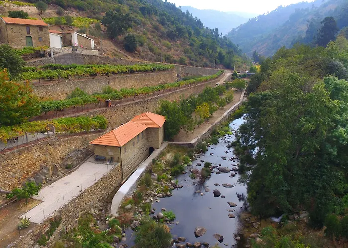 Quinta De Reciao Villa *