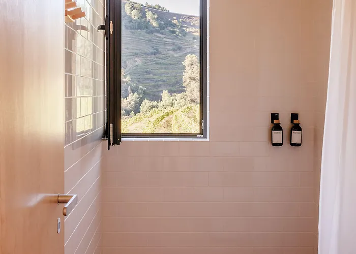 Quinta De Reciao Lamego