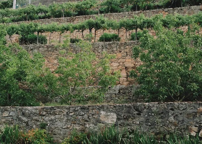 Villa Quinta De Reciao *